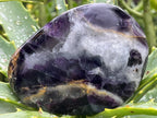 Polished Large Watermelon Fluorite Palm Stone x 1 From Uis, Namibia