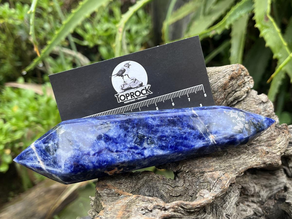 Polished Double Terminated Deep Blue Sodalite Crystal x 1 From Kunene, Namibia
