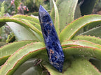 Polished Double Terminated Deep Blue Sodalite Crystal x 1 From Kunene, Namibia