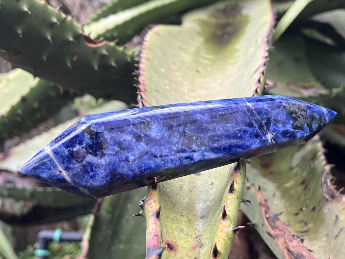 Polished Double Terminated Deep Blue Sodalite Crystal x 1 From Kunene, Namibia