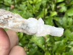 Natural and Perfect Spearhead Calcite Sceptre with a Drusy Quartz Base x 1 From Albert's Mountain, Lesotho
