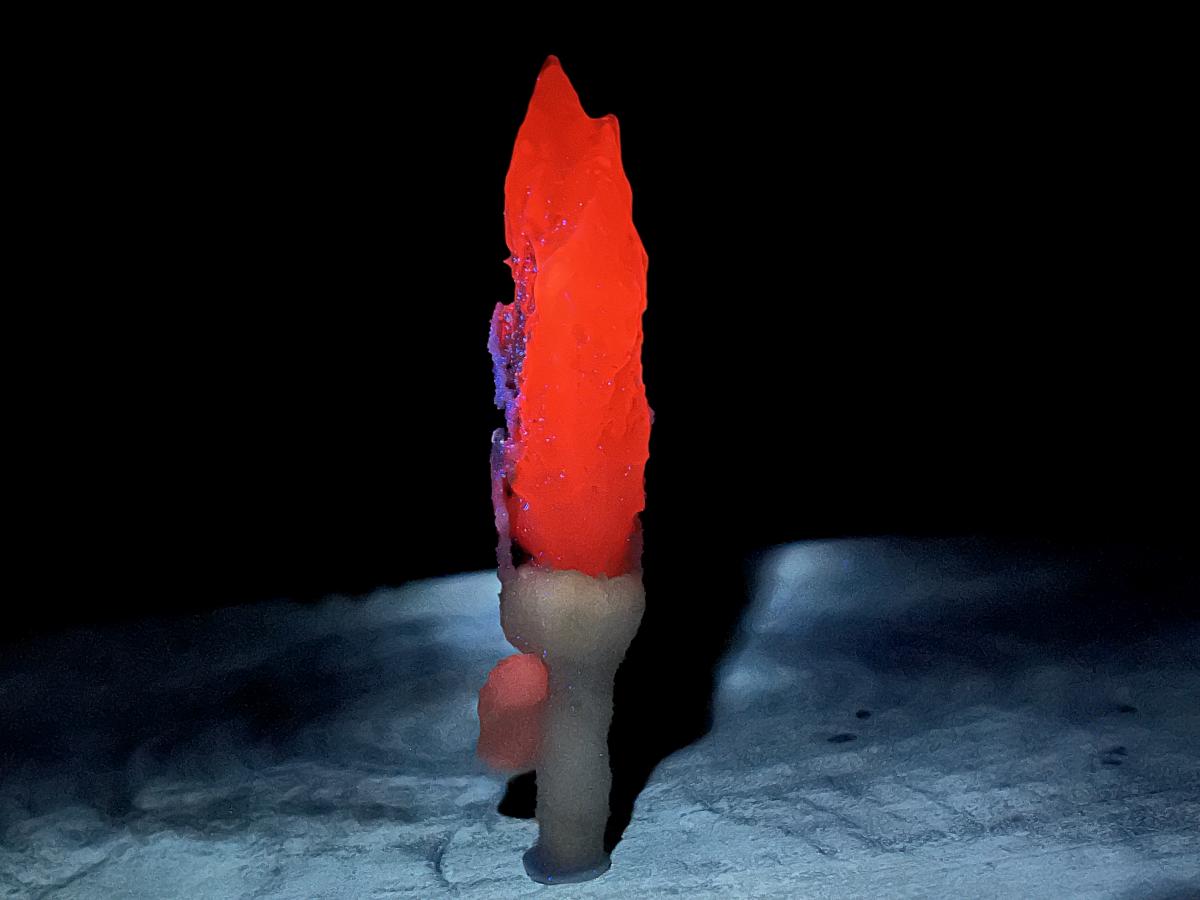 Natural and Perfect Spearhead Calcite Sceptre with a Drusy Quartz Base x 1 From Albert's Mountain, Lesotho