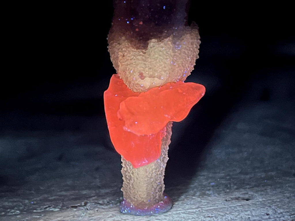 Natural and Perfect Spearhead Calcite Sceptre with a Drusy Quartz Base x 1 From Albert's Mountain, Lesotho