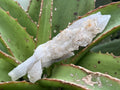 Natural and Perfect Spearhead Calcite Sceptre with a Drusy Quartz Base x 1 From Albert's Mountain, Lesotho