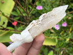 Natural and Perfect Spearhead Calcite Sceptre with a Drusy Quartz Base x 1 From Albert's Mountain, Lesotho
