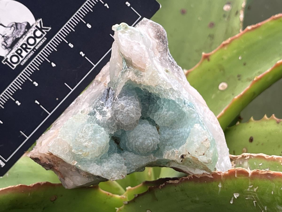 Natural Ultra Rare Ajoite Specimen x 1 From Messina Mines, Musina, Limpopo