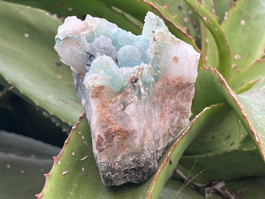 Natural Ultra Rare Ajoite Specimen x 1 From Messina Mines, Musina, Limpopo