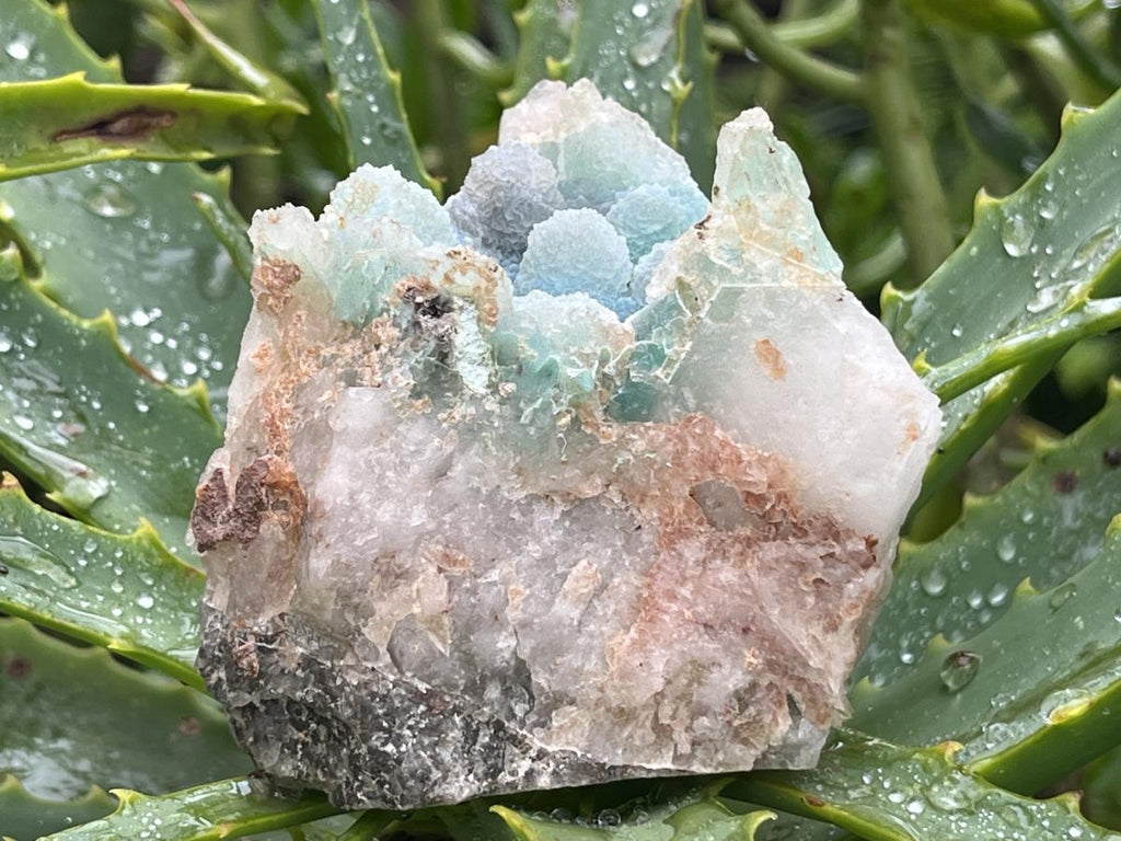 Natural Ultra Rare Ajoite Specimen x 1 From Messina Mines, Musina, Limpopo