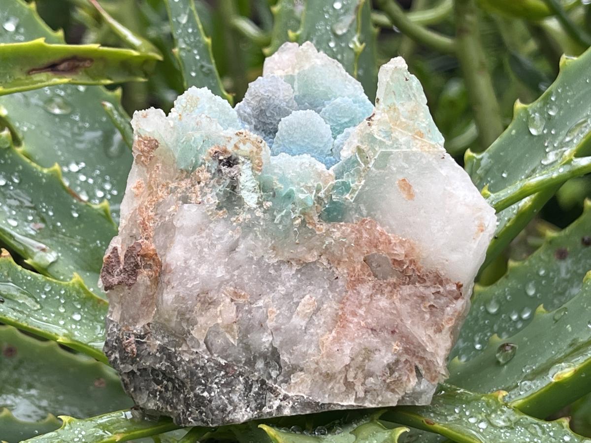 Natural Ultra Rare Ajoite Specimen x 1 From Messina Mines, Musina, Limpopo