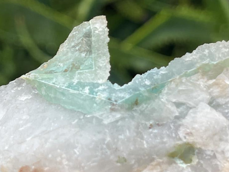 Natural Ultra Rare Ajoite Specimen x 1 From Messina Mines, Musina, Limpopo