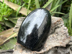 Polished Schorl Black Tourmaline Standing Free Form x 1 From Madagascar
