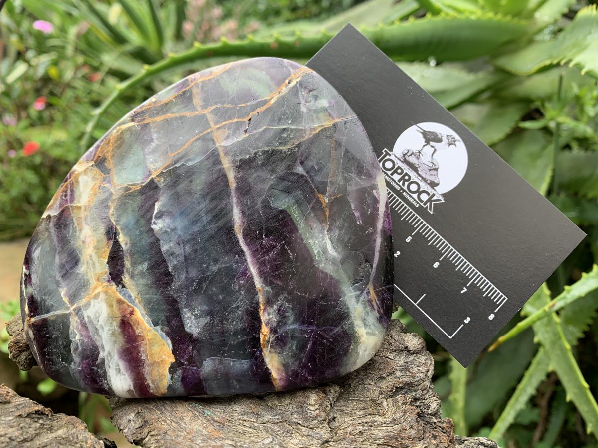 Polished Thinly Cut and Translucent Watermelon Fluorite Slice x 1 From Uis, Namibia