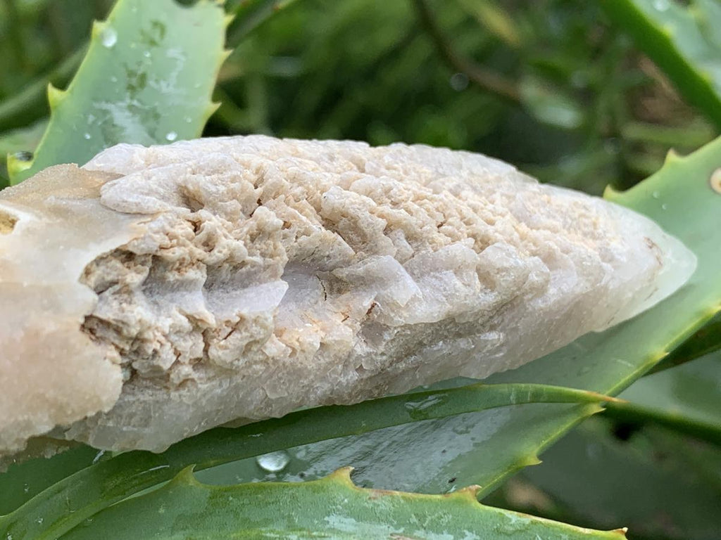 Natural XL Spearhead Calcite Specimen with a Drusy Quartz Base x 1 From Albert's Mountain, Lesotho