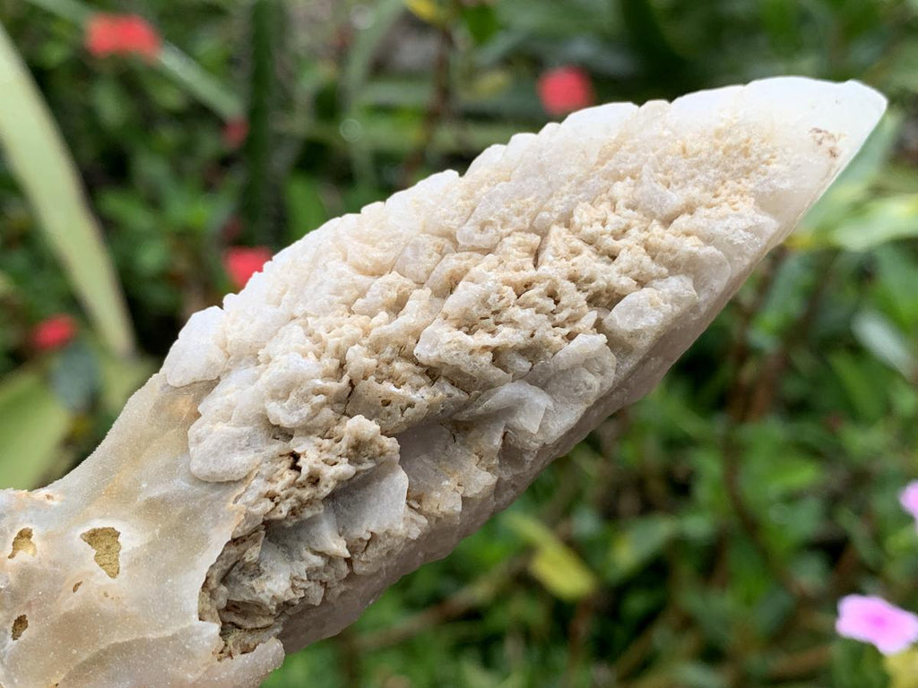 Natural XL Spearhead Calcite Specimen with a Drusy Quartz Base x 1 From Albert's Mountain, Lesotho