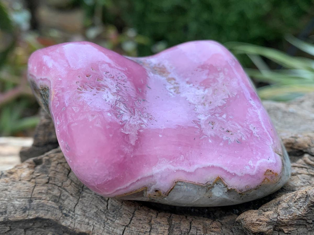 Polished Gemmy Pink Cobaltoan Calcite on a Dolomite Matrix x 1 From Congo