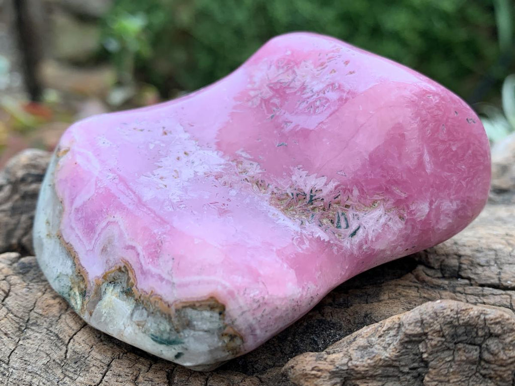 Polished Gemmy Pink Cobaltoan Calcite on a Dolomite Matrix x 1 From Congo