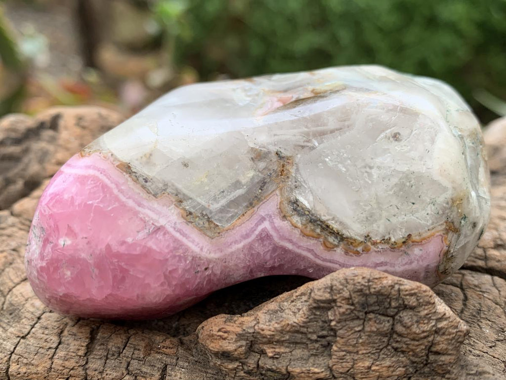 Polished Gemmy Pink Cobaltoan Calcite on a Dolomite Matrix x 1 From Congo