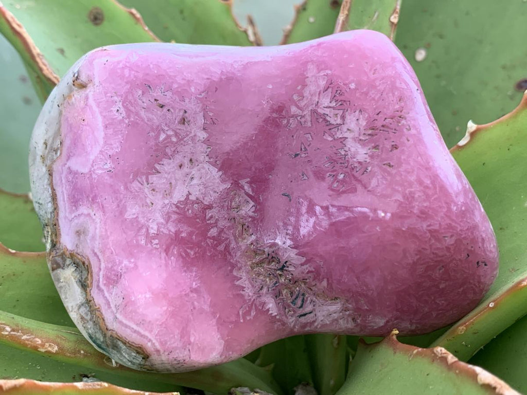 Polished Gemmy Pink Cobaltoan Calcite on a Dolomite Matrix x 1 From Congo