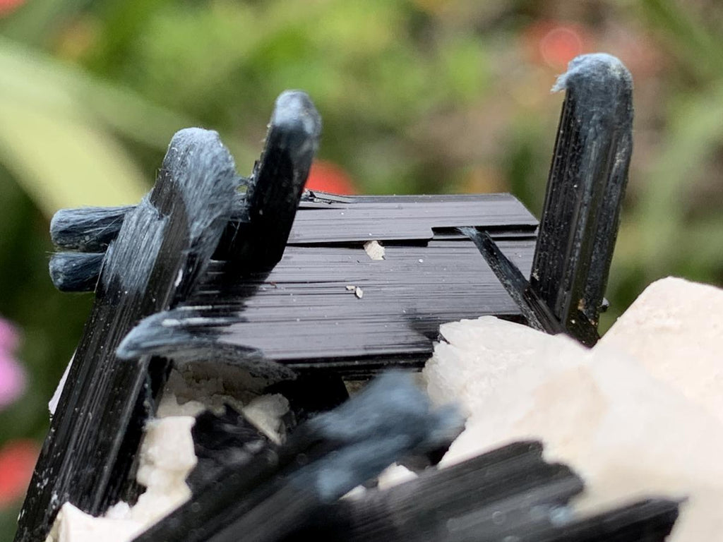 Natural Aegirine and Orthoclase Specimen x 1 From Zomba, Malawi