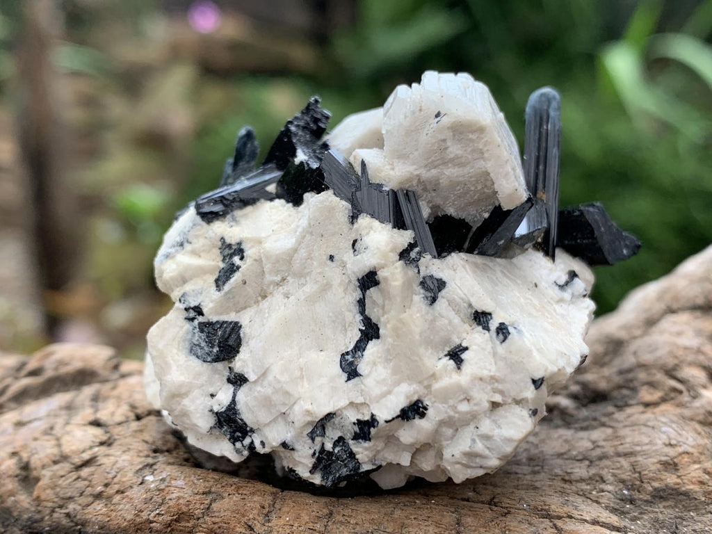 Natural Aegirine and Orthoclase Specimen x 1 From Zomba, Malawi