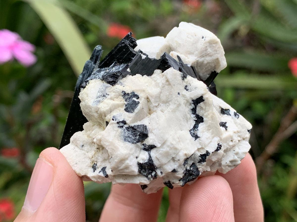 Natural Aegirine and Orthoclase Specimen x 1 From Zomba, Malawi