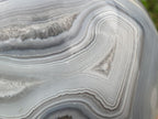 Polished XL Shashe River Agate Sphere x 1 From Zimbabwe
