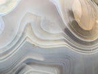 Polished XL Shashe River Agate Sphere x 1 From Zimbabwe