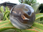 Polished XL Shashe River Agate Sphere x 1 From Zimbabwe