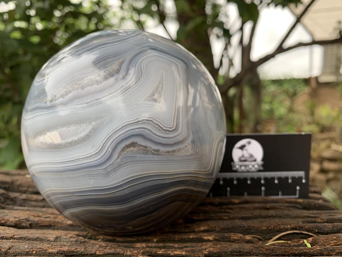 Polished XL Shashe River Agate Sphere x 1 From Zimbabwe