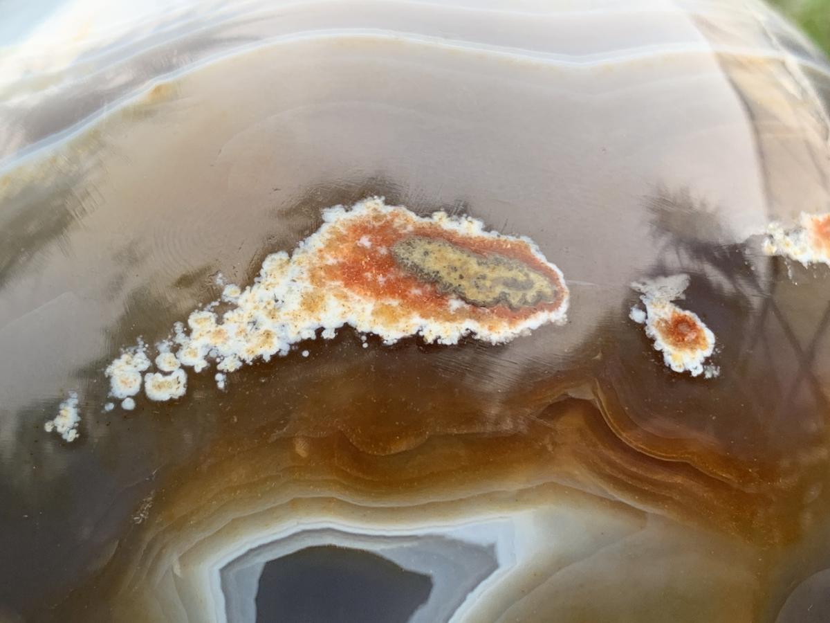 Polished XL Shashe River Agate Sphere x 1 From Zimbabwe