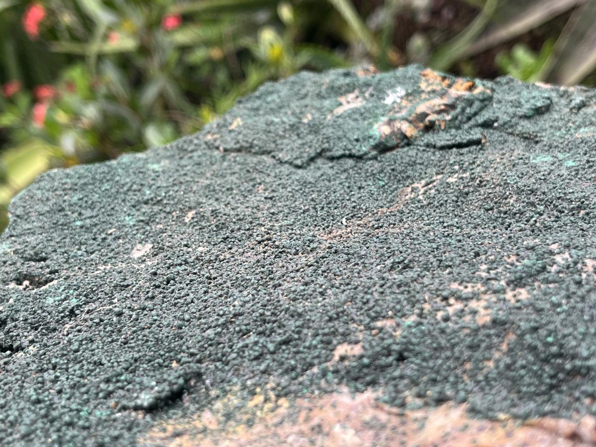 Natural Crystalline Malachite Specimen x 1 From Congo