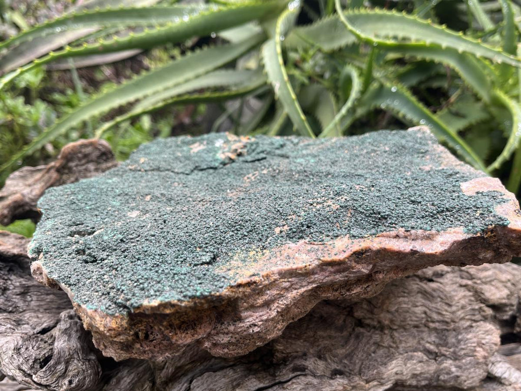Natural Crystalline Malachite Specimen x 1 From Congo