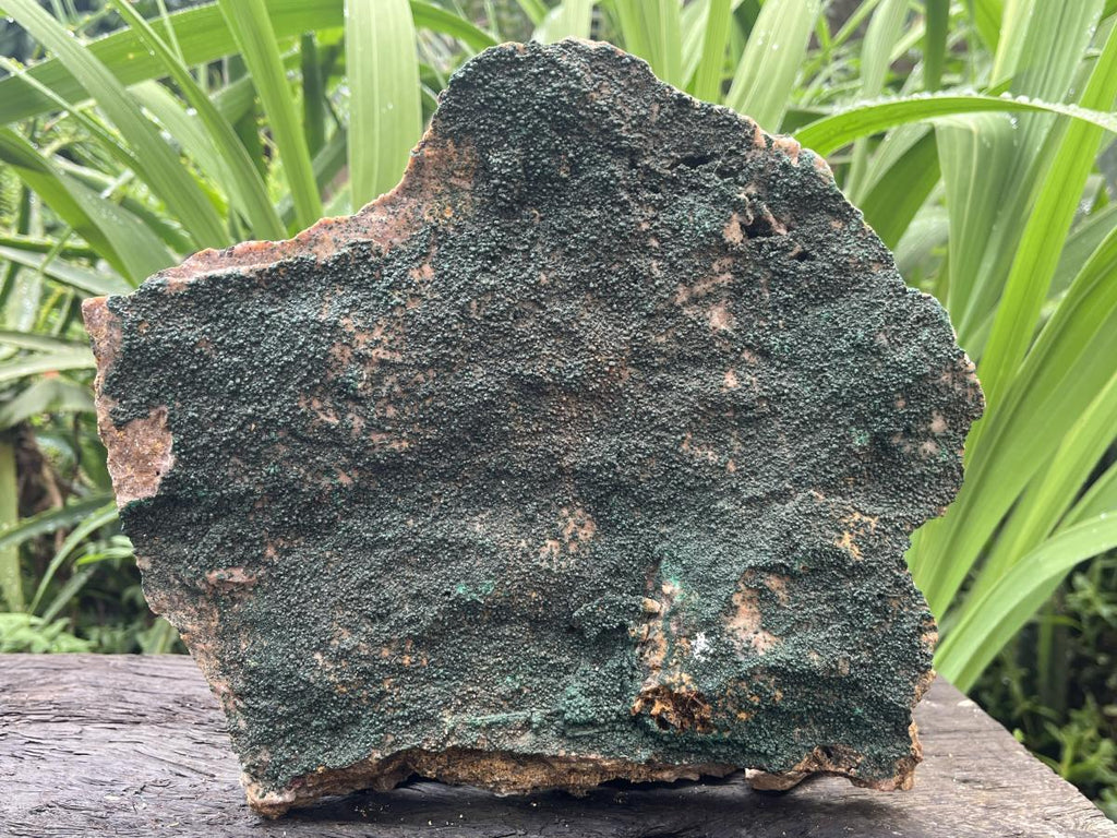 Natural Crystalline Malachite Specimen x 1 From Congo