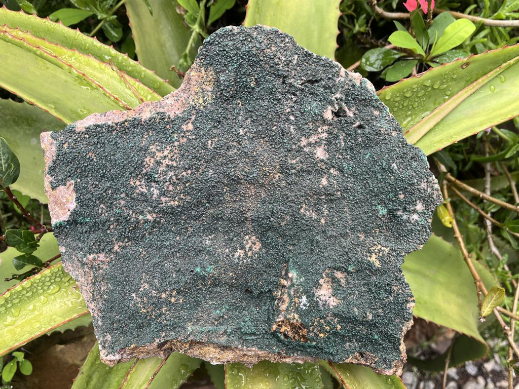 Natural Crystalline Malachite Specimen x 1 From Congo