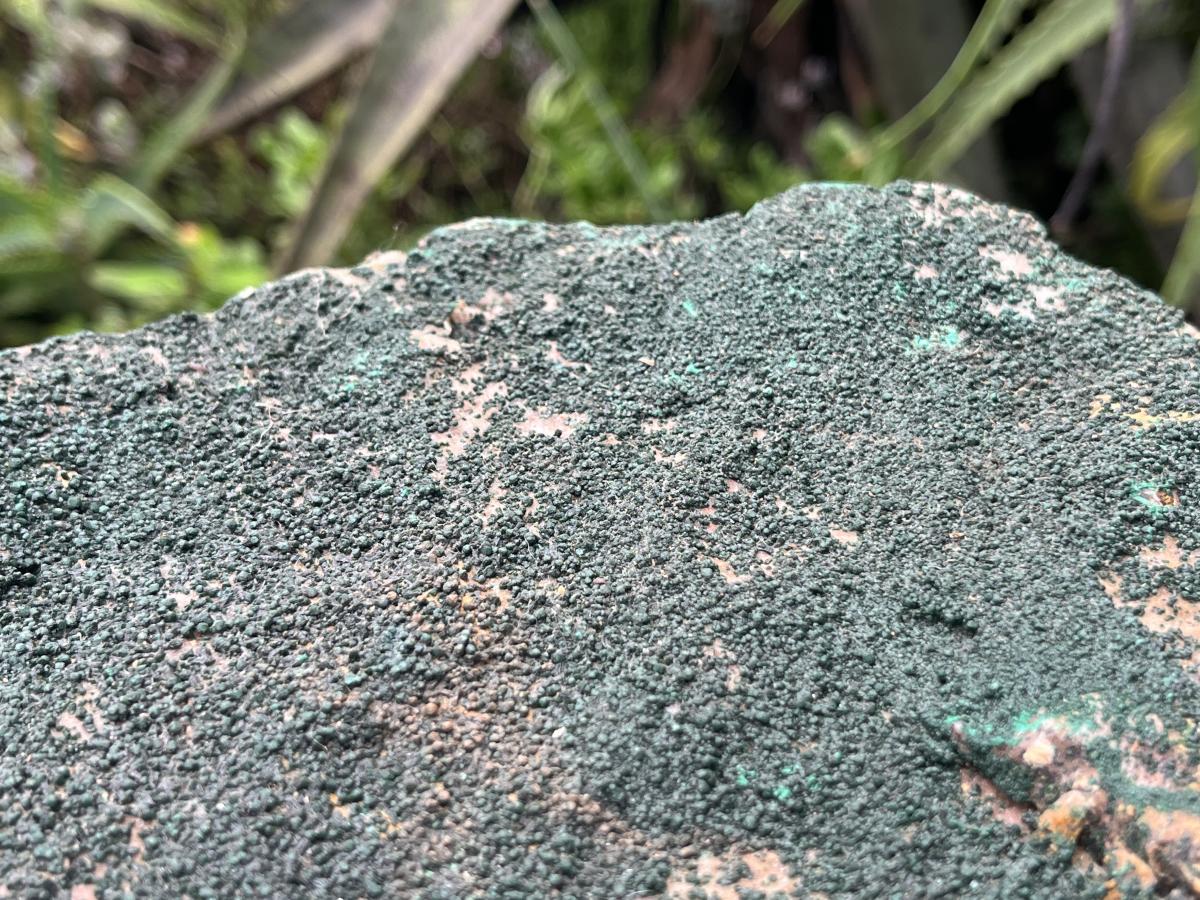 Natural Crystalline Malachite Specimen x 1 From Congo