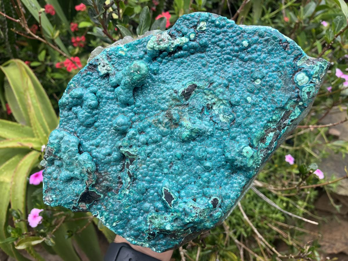 Natural Silica Chrysocolla Specimen x 1 From Kulukuluku, Congo