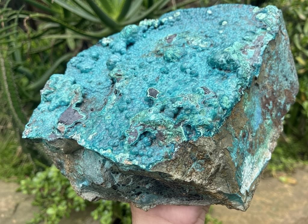 Natural Silica Chrysocolla Specimen x 1 From Kulukuluku, Congo