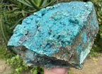 Natural Silica Chrysocolla Specimen x 1 From Kulukuluku, Congo