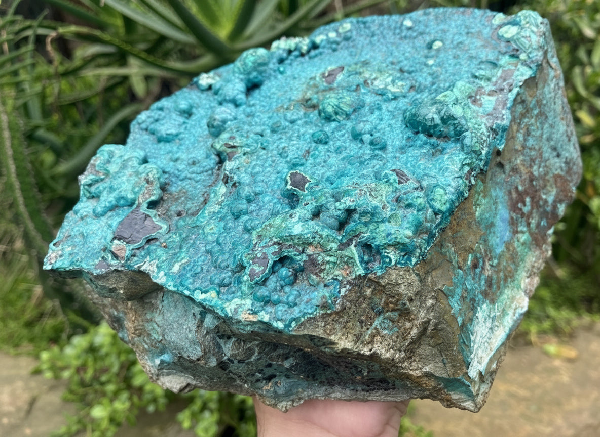 Natural Silica Chrysocolla Specimen x 1 From Kulukuluku, Congo