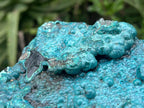Natural Silica Chrysocolla Specimen x 1 From Kulukuluku, Congo