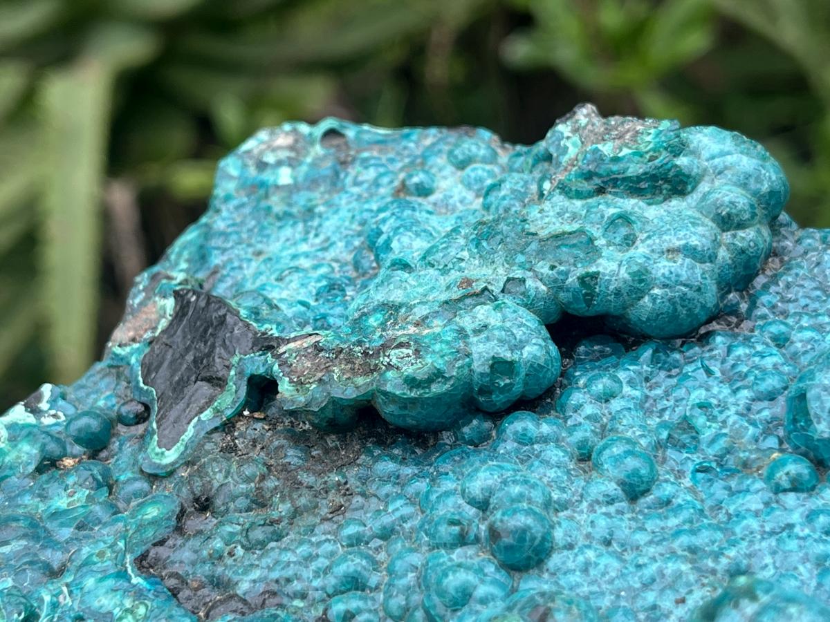 Natural Silica Chrysocolla Specimen x 1 From Kulukuluku, Congo