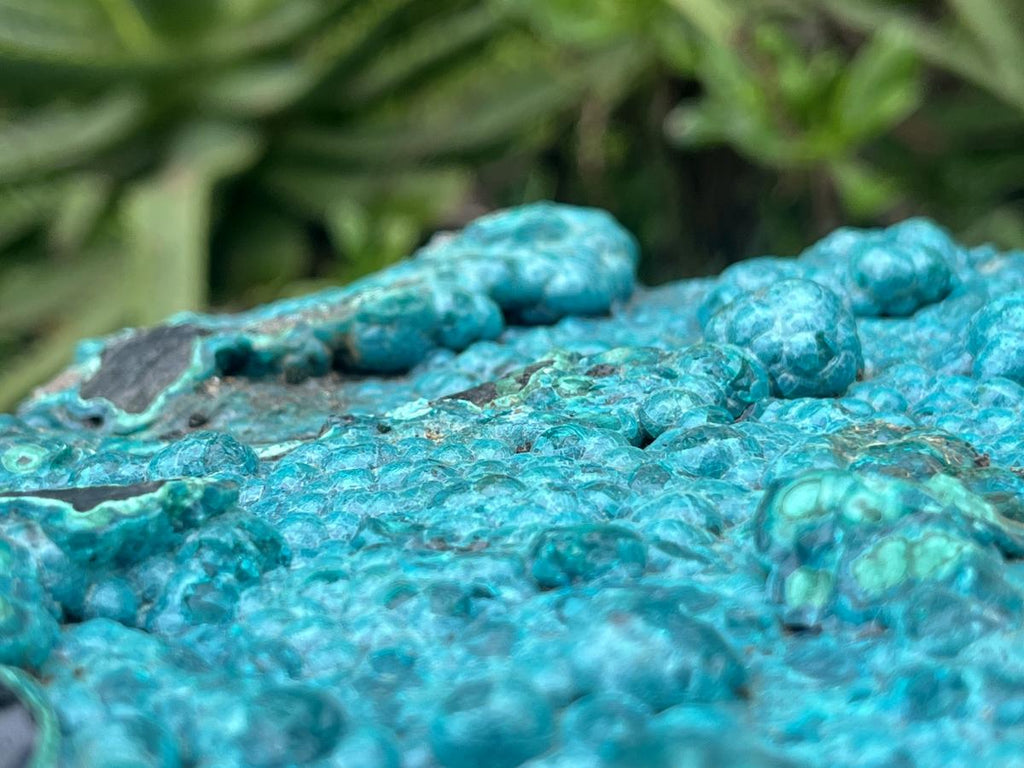 Natural Silica Chrysocolla Specimen x 1 From Kulukuluku, Congo