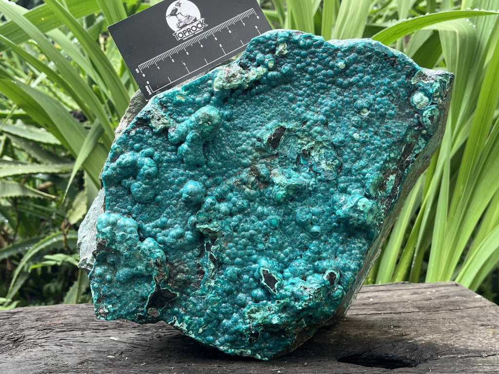 Natural Silica Chrysocolla Specimen x 1 From Kulukuluku, Congo