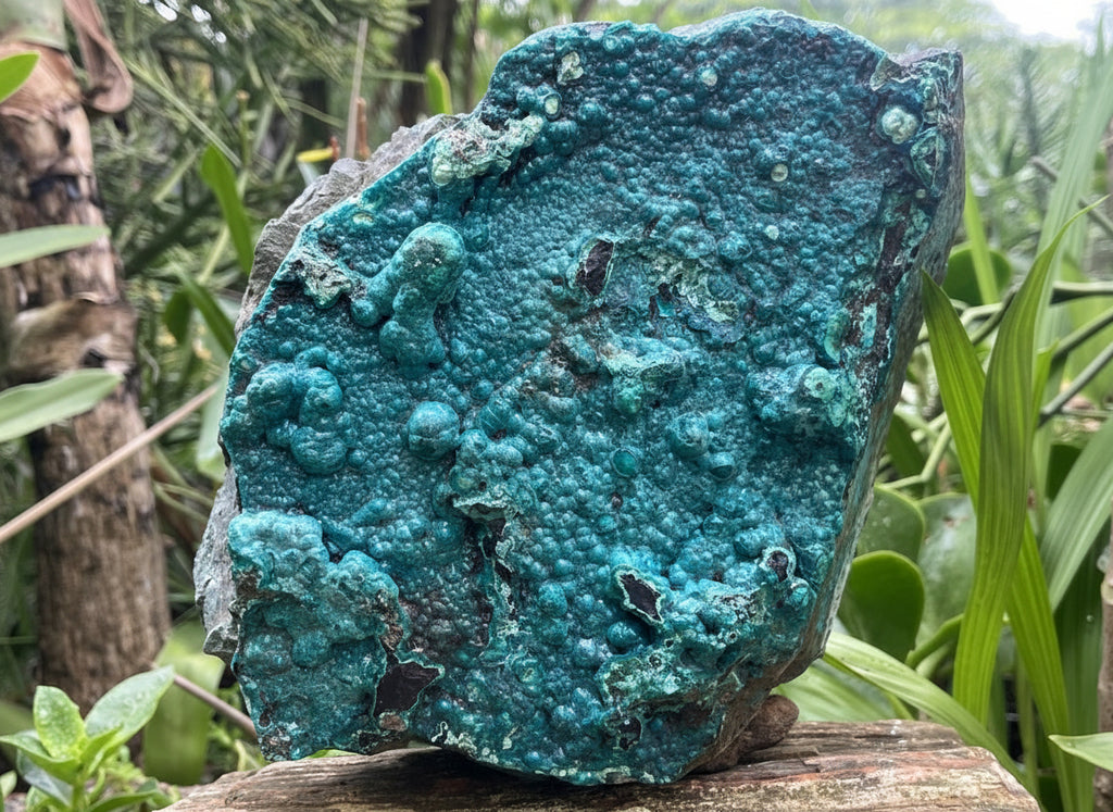 Natural Silica Chrysocolla Specimen x 1 From Kulukuluku, Congo