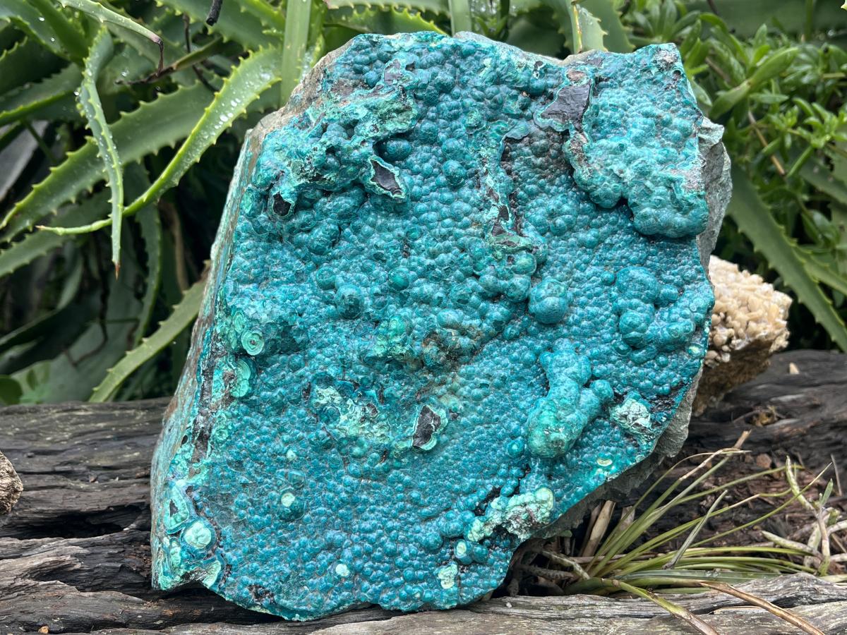 Natural Silica Chrysocolla Specimen x 1 From Kulukuluku, Congo