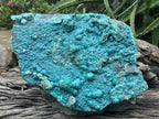 Natural Silica Chrysocolla Specimen x 1 From Kulukuluku, Congo