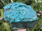 Natural Silica Chrysocolla Specimen x 1 From Kulukuluku, Congo