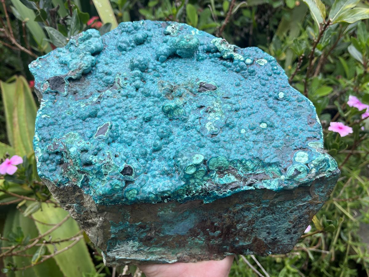 Natural Silica Chrysocolla Specimen x 1 From Kulukuluku, Congo