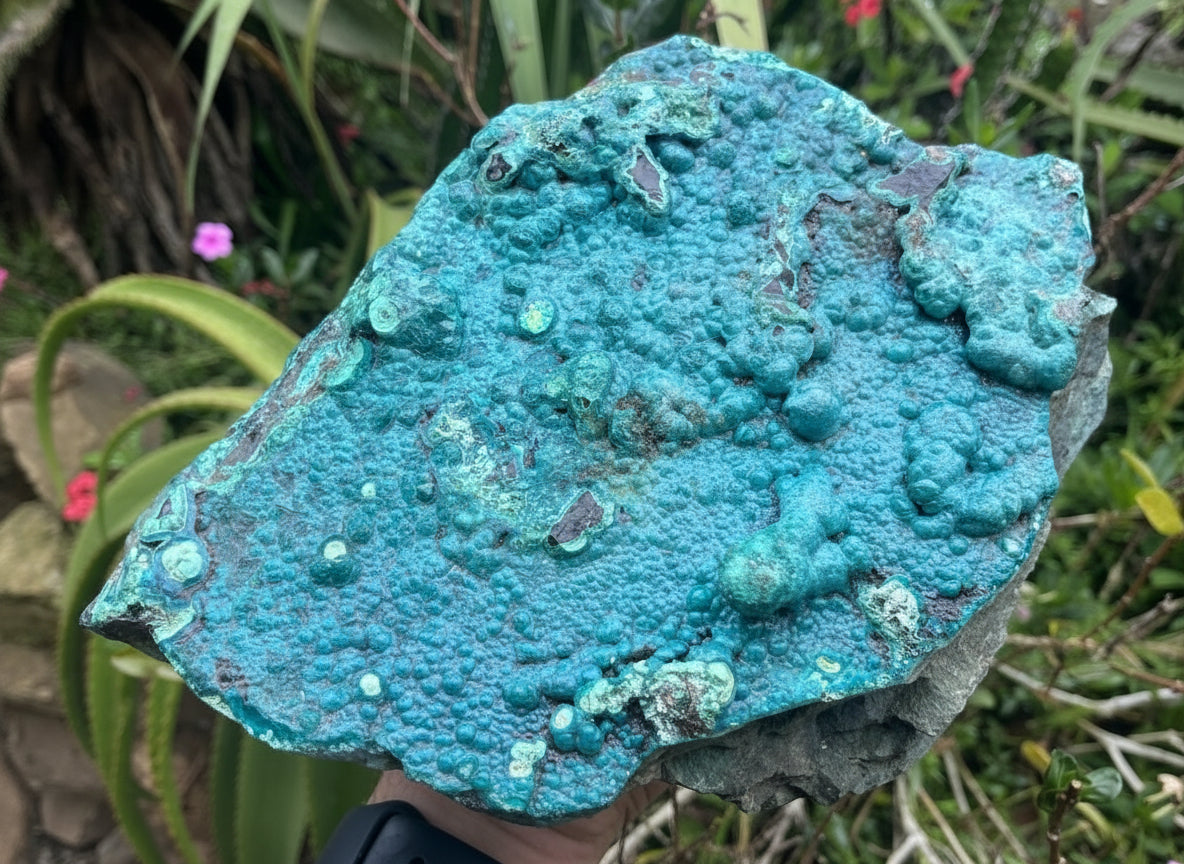 Natural Silica Chrysocolla Specimen x 1 From Kulukuluku, Congo