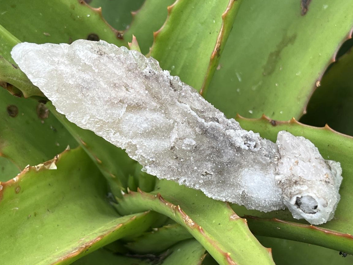 Natural Drusy Quartz Coated Spearhead Calcite Specimen x 1 From Albert's Mountain, Lesotho